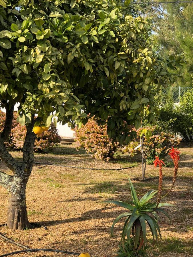 Holiday home Quinta *